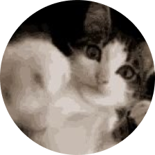 @whatthetweet17 Twitter profile picture